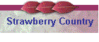 Strawberry Country